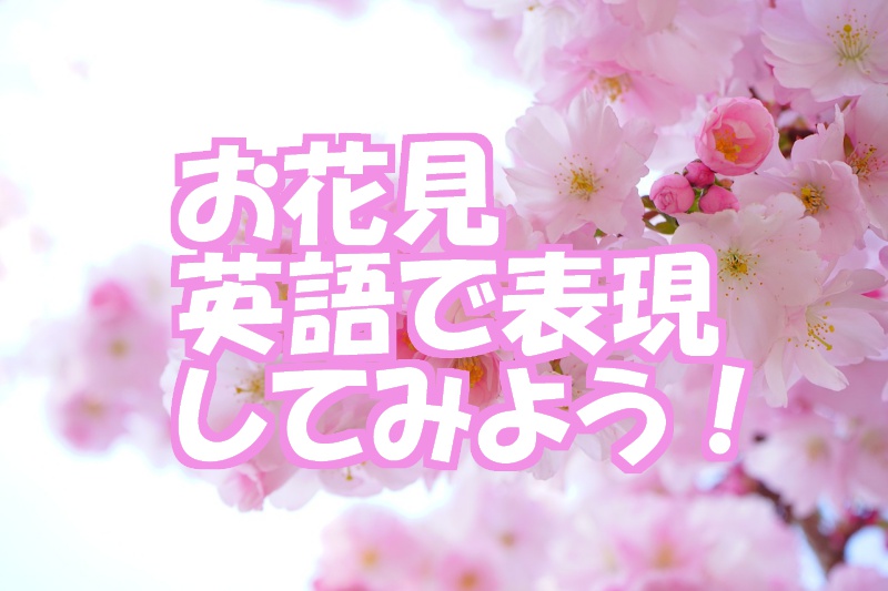 桜と花見の英語表現 花見や花見団子を英語で説明 紹介する例文も