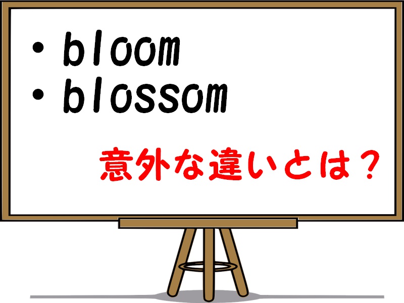 「bloom」「blossom」「flower」の違いや使い分けを解説！